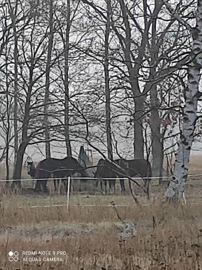 Zakatek Zurawi 2 Villa Świnoujście Buitenkant foto