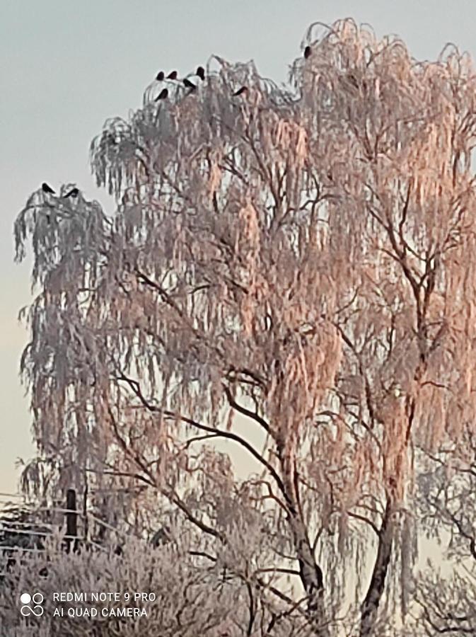 Zakatek Zurawi 2 Villa Świnoujście Buitenkant foto
