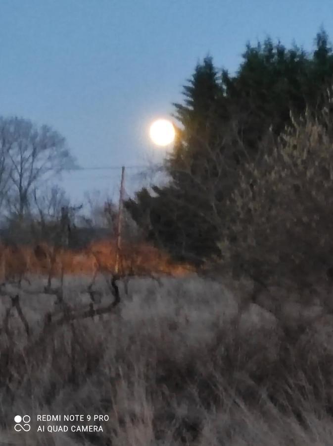 Zakatek Zurawi 2 Villa Świnoujście Buitenkant foto