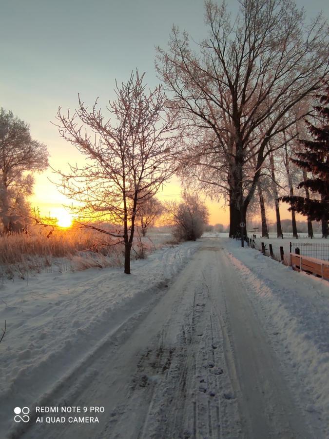 Zakatek Zurawi 2 Villa Świnoujście Buitenkant foto
