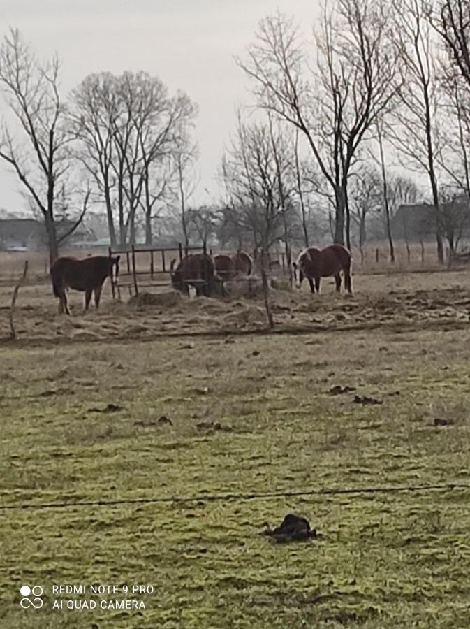 Zakatek Zurawi 2 Villa Świnoujście Buitenkant foto